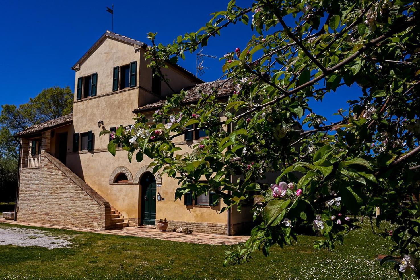 Bed and Breakfast I Ciliegi à Osimo Extérieur photo