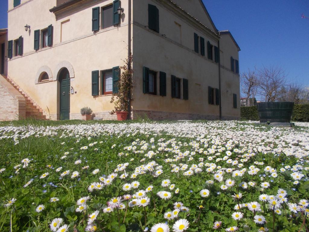 Bed and Breakfast I Ciliegi à Osimo Extérieur photo