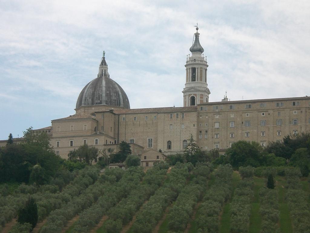 Bed and Breakfast I Ciliegi à Osimo Extérieur photo