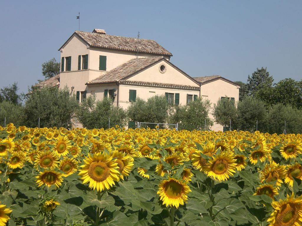 Bed and Breakfast I Ciliegi à Osimo Extérieur photo