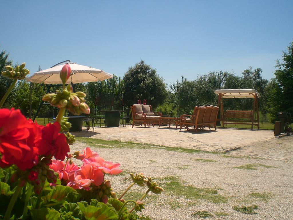 Bed and Breakfast I Ciliegi à Osimo Extérieur photo