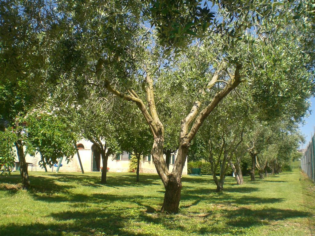 Bed and Breakfast I Ciliegi à Osimo Extérieur photo
