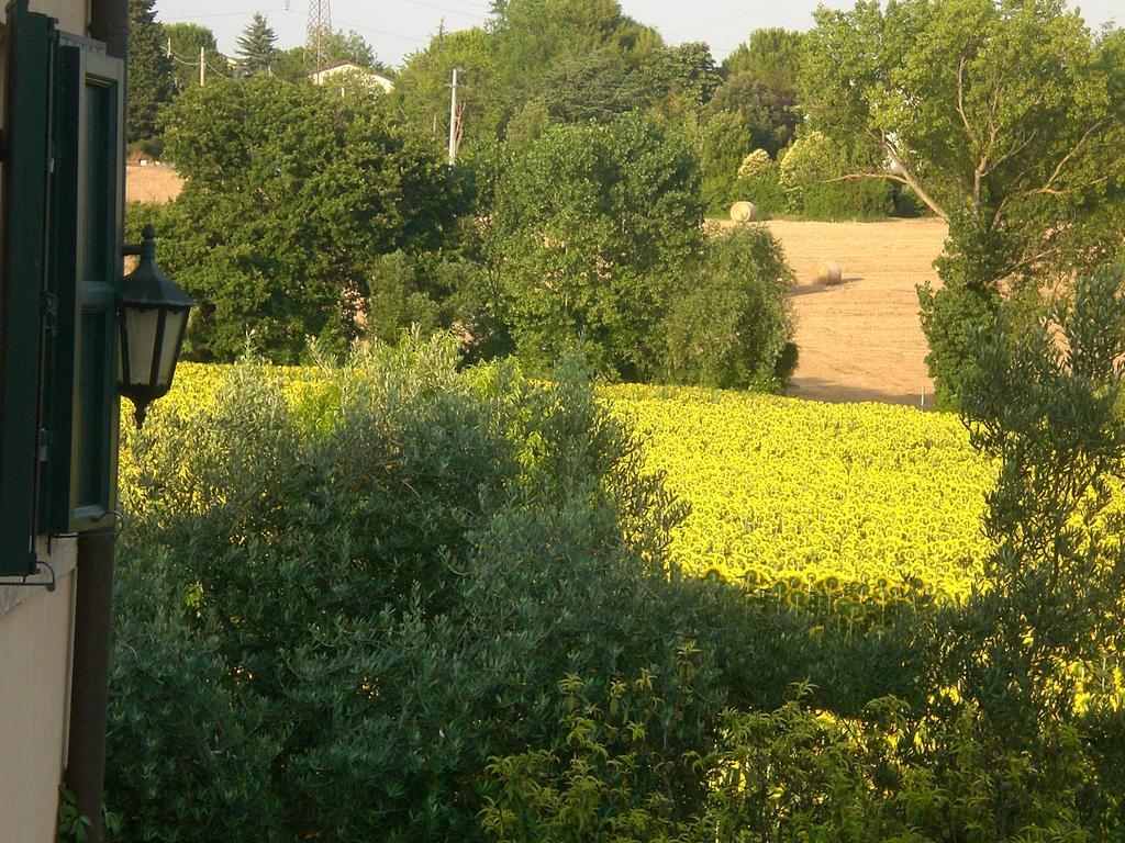 Bed and Breakfast I Ciliegi à Osimo Extérieur photo