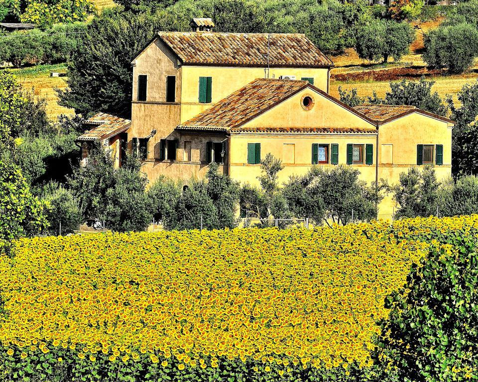 Bed and Breakfast I Ciliegi à Osimo Extérieur photo