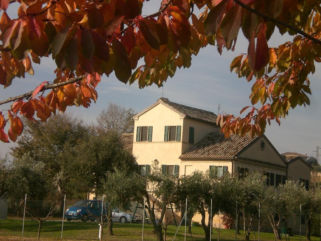 Bed and Breakfast I Ciliegi à Osimo Extérieur photo