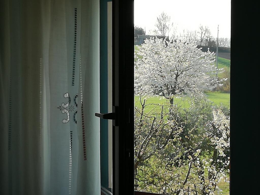 Bed and Breakfast I Ciliegi à Osimo Extérieur photo