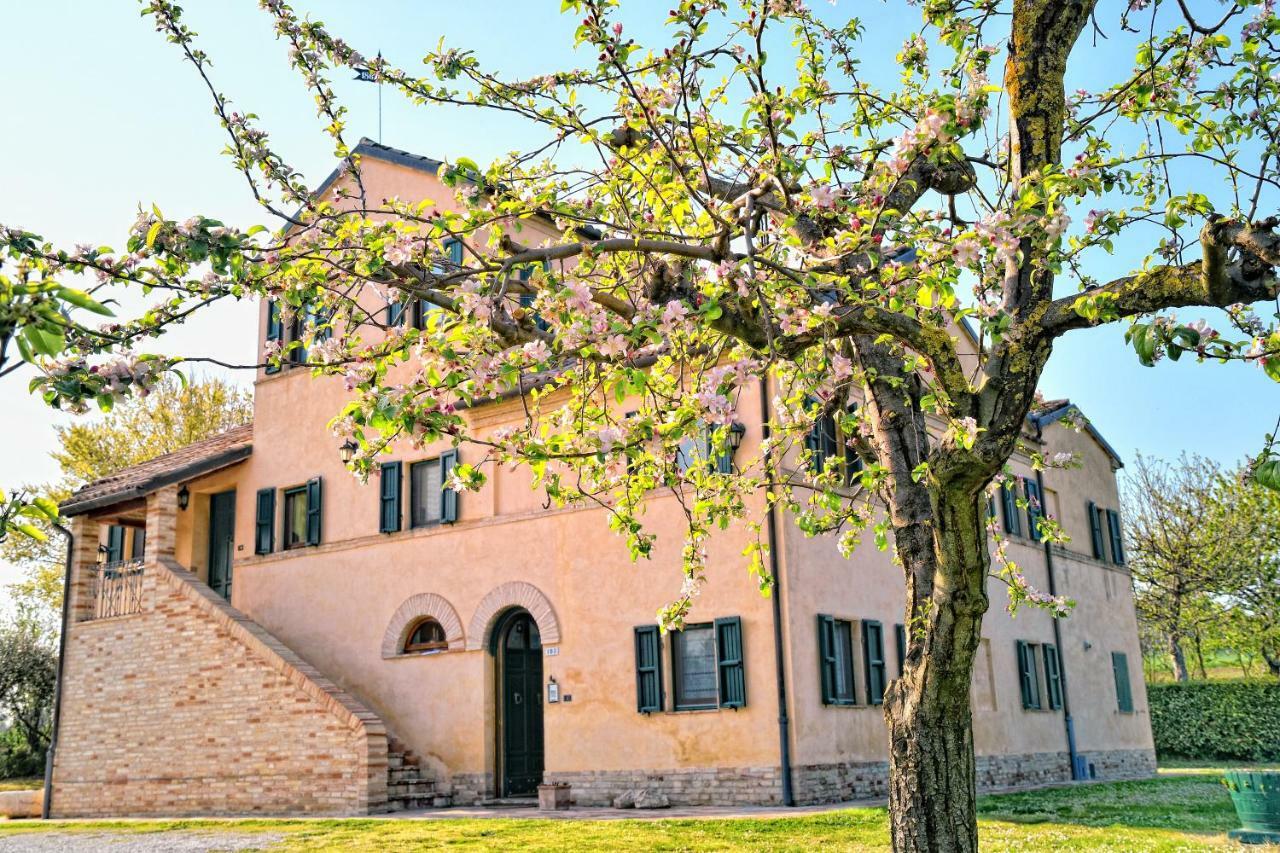 Bed and Breakfast I Ciliegi à Osimo Extérieur photo