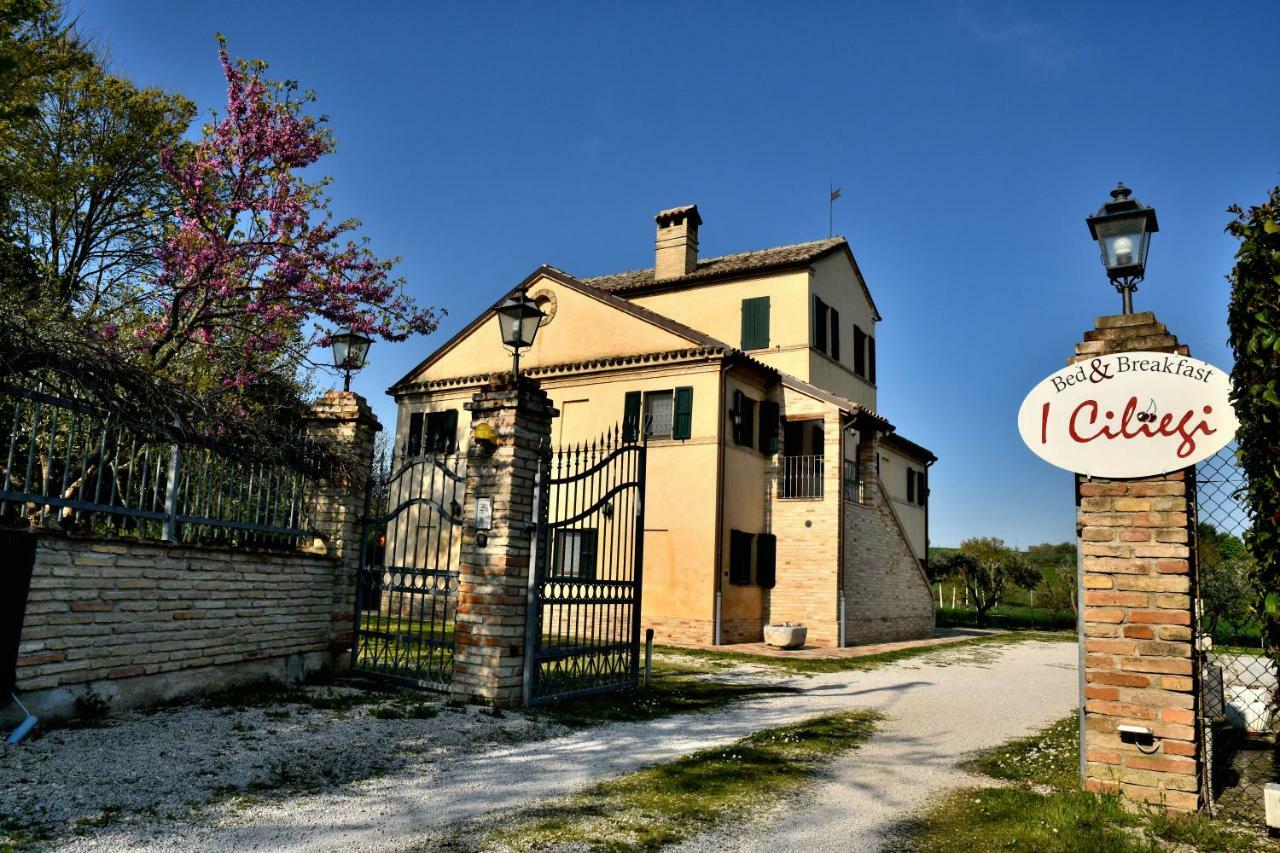 Bed and Breakfast I Ciliegi à Osimo Extérieur photo